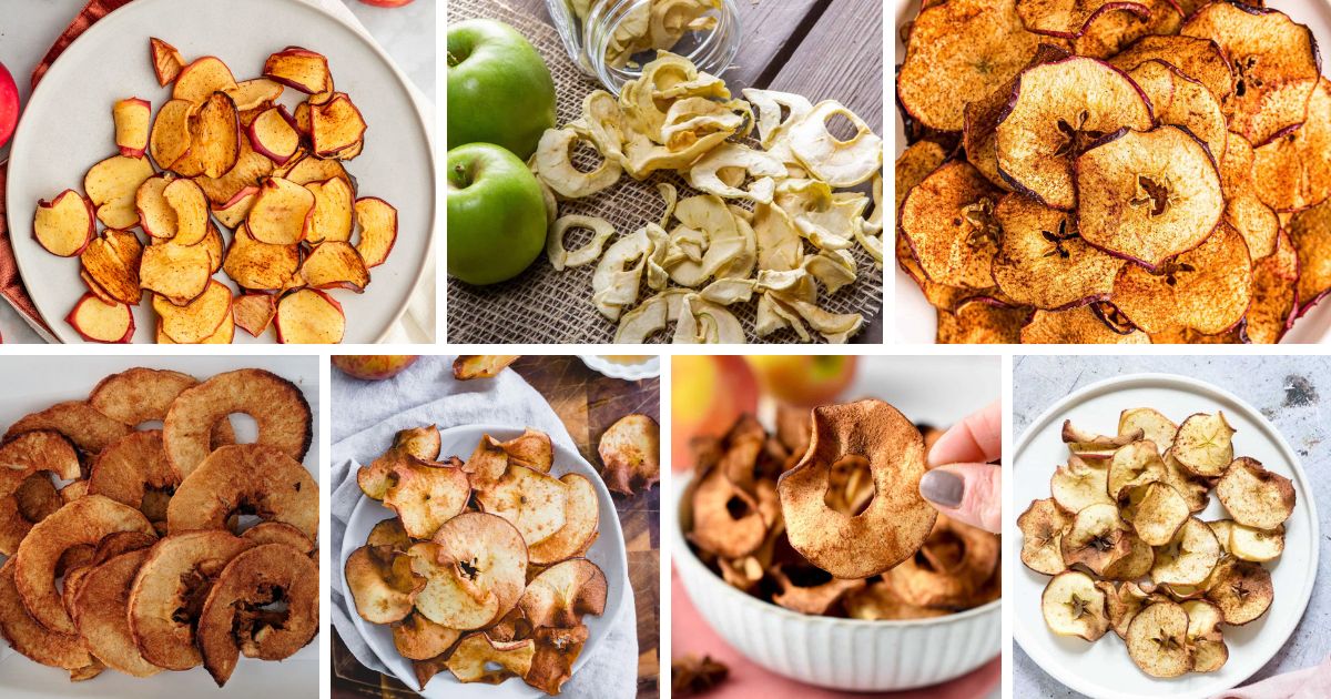 20 air fryer apple chips recipes facebook