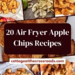 20 air fryer apple chips recipes pin