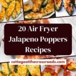 20 air fryer jalapeno poppers recipes pin