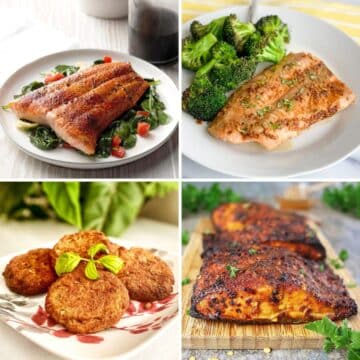 20 best salmon air fryer recipes featured