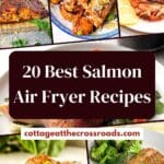 20 best salmon air fryer recipes pin