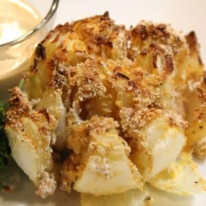 21 easy air fryer blooming onion recipes featured recipe