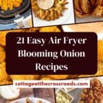 21 easy air fryer blooming onion recipes pin