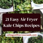 21 easy air fryer kale chips recipes pin