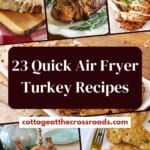 23 quick air fryer turkey recipes pin