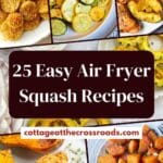 25 easy air fryer squash recipes pin