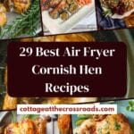 29 best air fryer cornish hen recipes pin