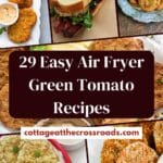 29 easy air fryer green tomato recipes pin