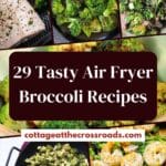 29 tasty air fryer broccoli recipes pin