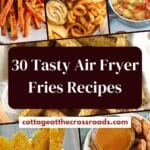 30 tasty air fryer fries recipes pin