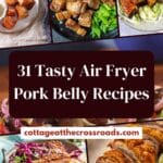 31 tasty air fryer pork belly recipes pin