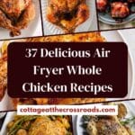 37 delicious air fryer whole chicken recipes pin