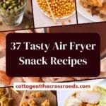 37 tasty air fryer snack recipes pin