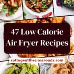 47 low calorie air fryer recipes pin