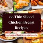 66 thin sliced chicken breast recipes pin