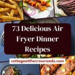 73 delicious air fryer dinner recipes pin
