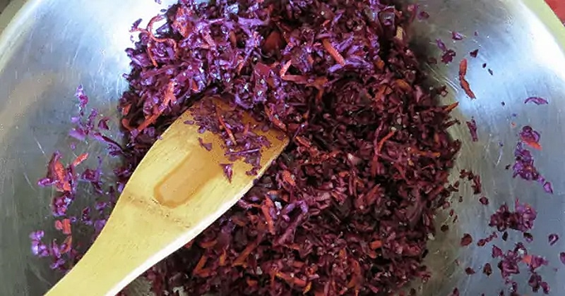 Homemade sauerkraut: purple cabbage and carrot
