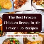 The best frozen chicken breast in air fryer 36 recipes pin
