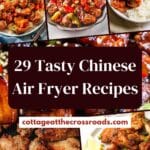 29 tasty chinese air fryer recipes pin